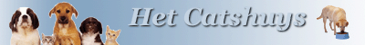 Dierenforum